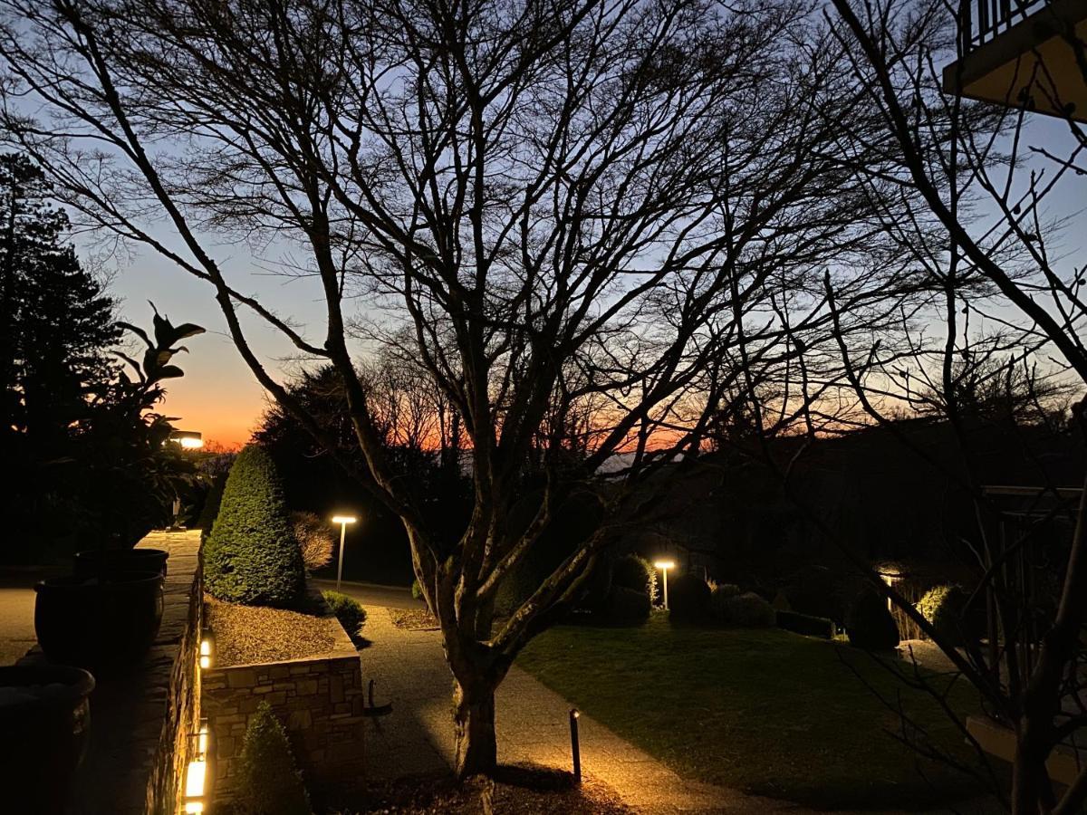 Hotel Schlossberg Badenweiler Buitenkant foto