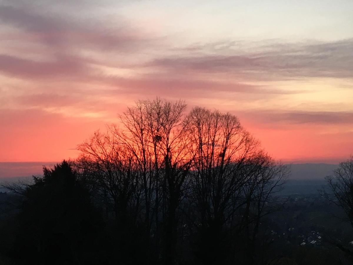 Hotel Schlossberg Badenweiler Buitenkant foto