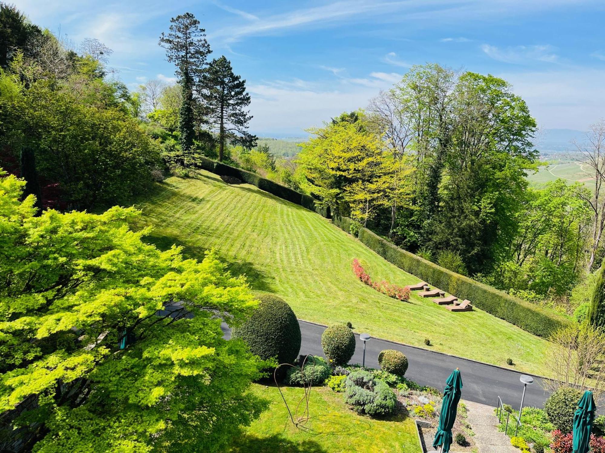 Hotel Schlossberg Badenweiler Buitenkant foto