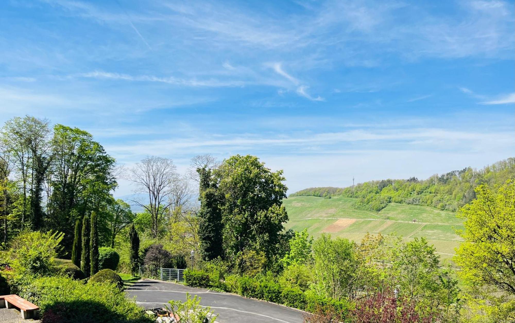 Hotel Schlossberg Badenweiler Buitenkant foto