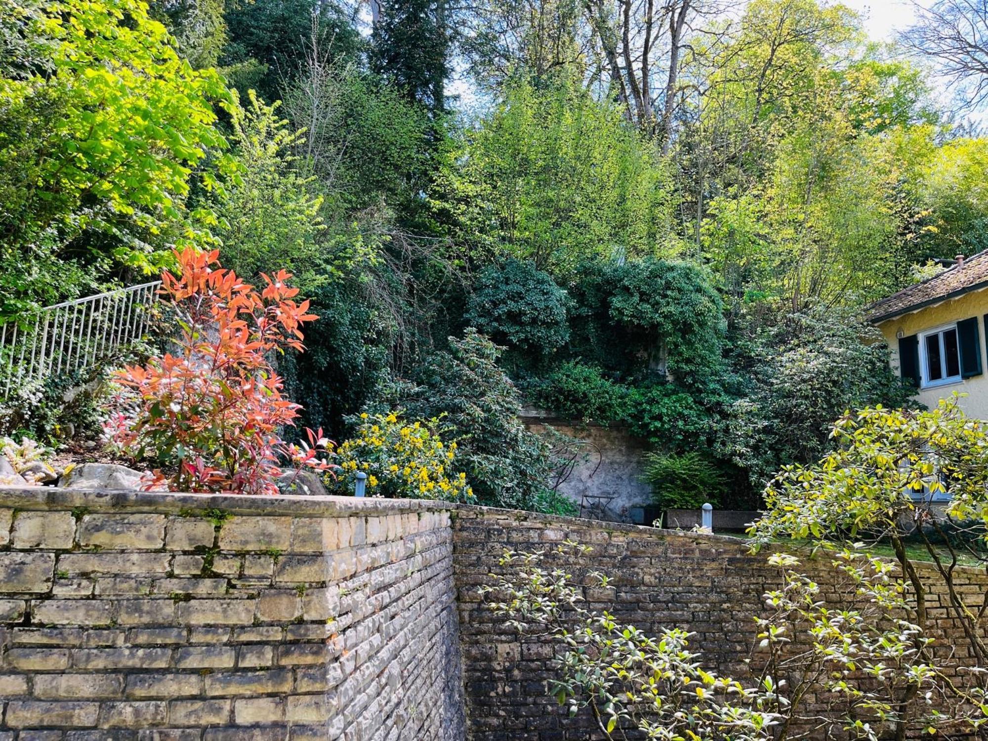 Hotel Schlossberg Badenweiler Buitenkant foto