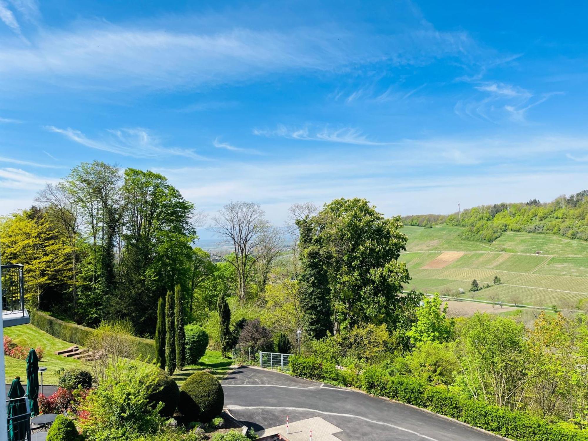 Hotel Schlossberg Badenweiler Buitenkant foto