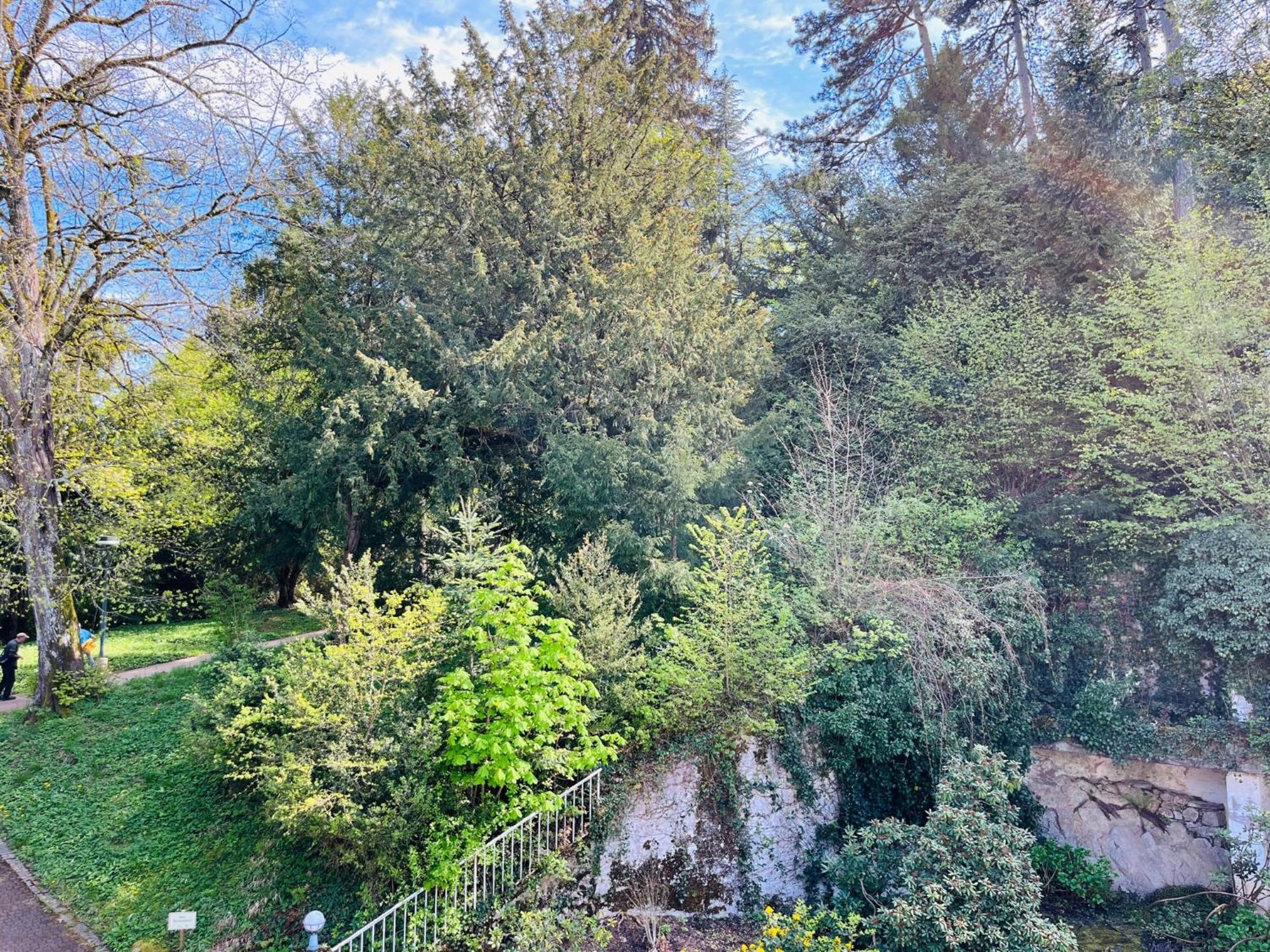 Hotel Schlossberg Badenweiler Buitenkant foto