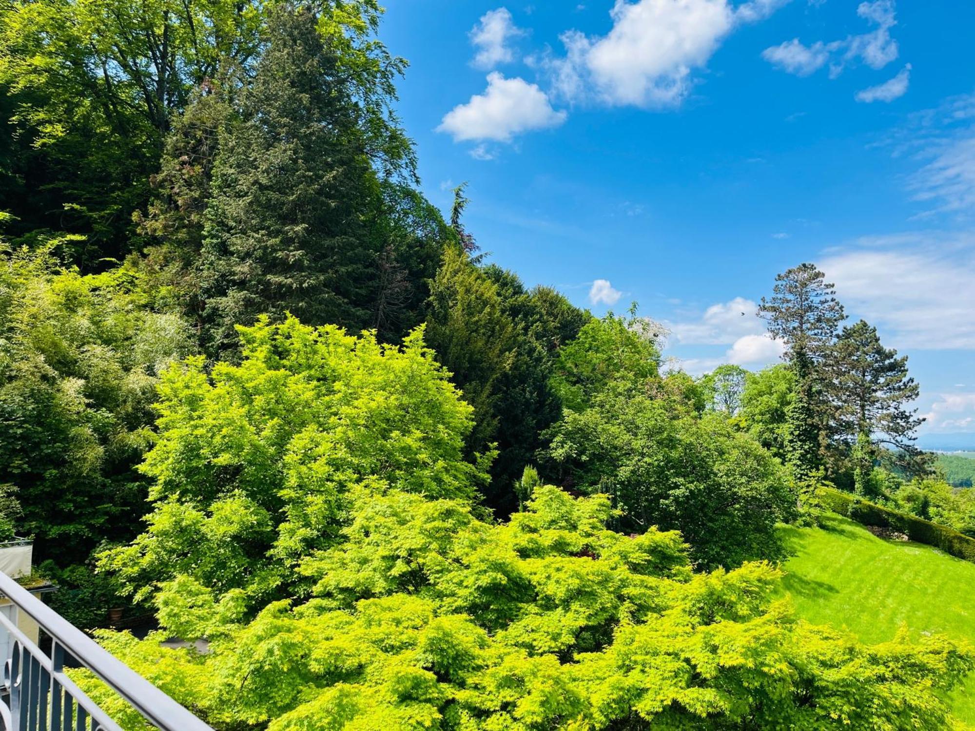 Hotel Schlossberg Badenweiler Buitenkant foto